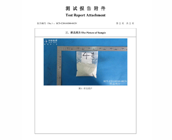 檢測報告
